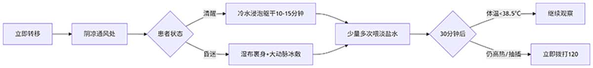 deepseek_mermaid_20250709_d4f323.jpg